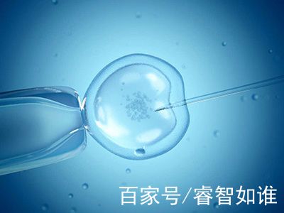 胚胎专家